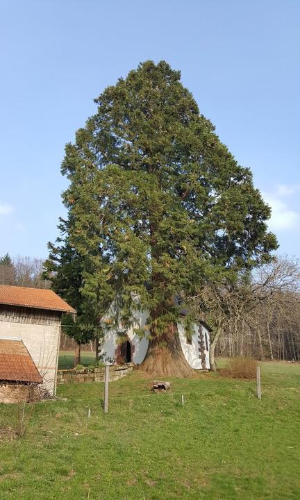 Vogt Auf Muhlstein Gaststaette